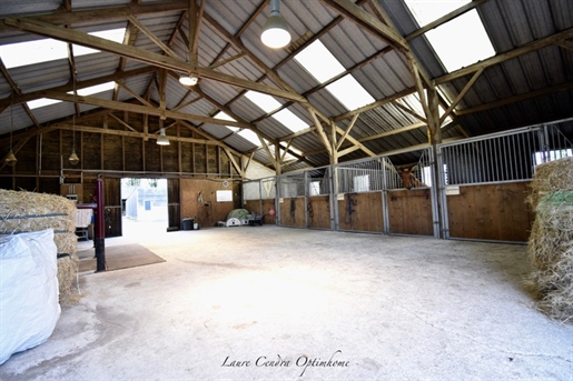 Favorite equestrian property on 22 hectares