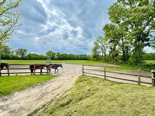 Exceptional Sale: Stud Farm with Complete Infrastructures – Imme Commercial and Recreational Potent