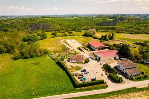 Propriedade agrícola com casa residencial e edifícios equestres com vista panorâmica