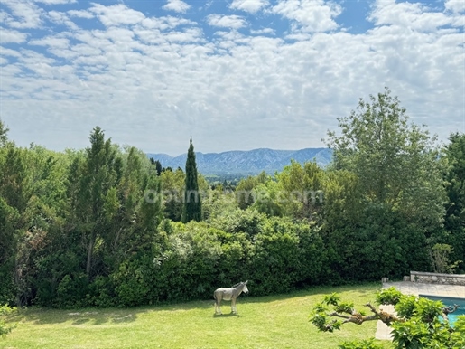 Mas in Saint Rémy de Provence with Alpilles view