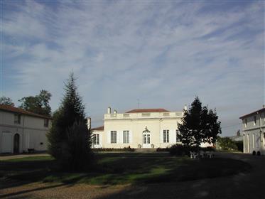 Bordeaux Wine Estate