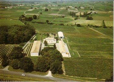 Bordeaux Wine Estate