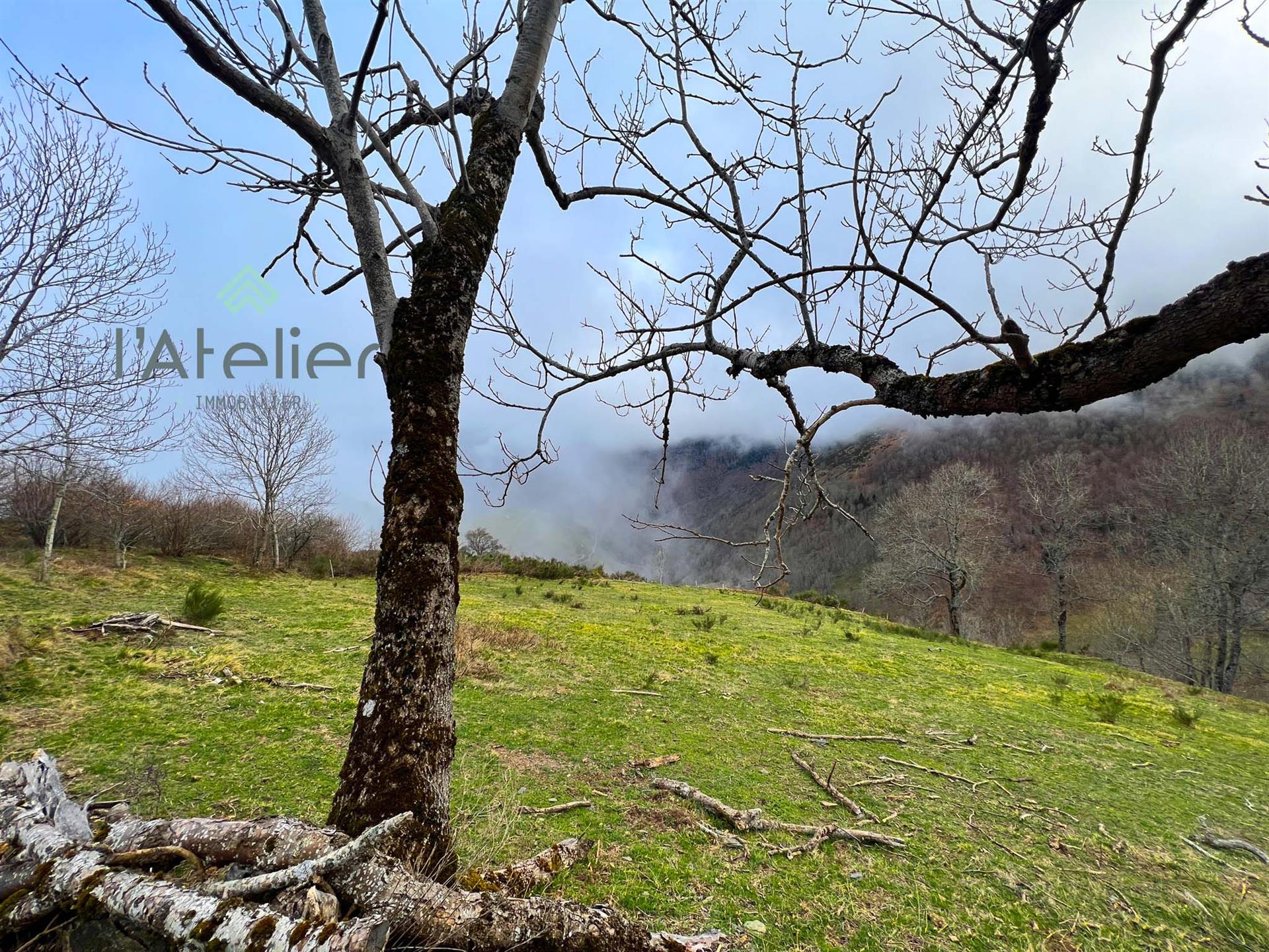 'L'enchanteresse' Barn to renovate Exclusivity signed L'Atelier