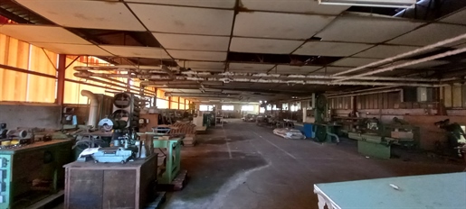 Hangars et bureaux à Vic-en-Bigorre sur terrain de 12000 m2 environ