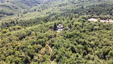 Atypical property in Céreste at the foot of the forest massif of the Luberon