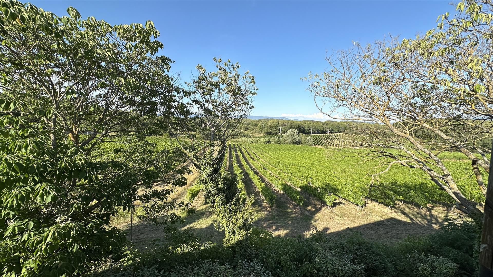 Compra: Casa (84220)