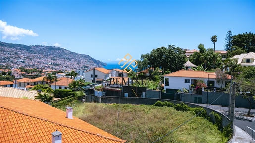 Land / Funchal - Madeira Island