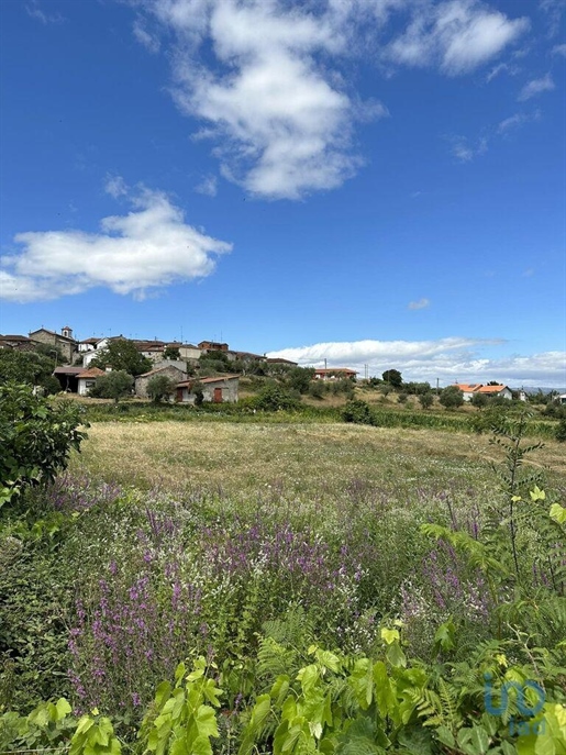 Terreno para construção em Madalena e Samaiões de 4000,00 m²