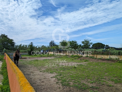 Terreno con cuadras para caballos y casa en venta en Palau-Saverdera