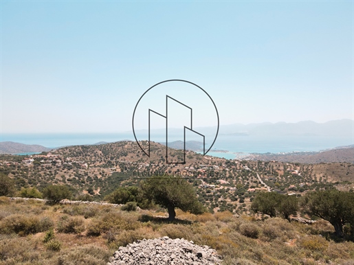 646779 - Terrain à vendre à Agios Nikolaos, 8 000 m², 500 000 €