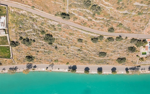 226629 - Terrain à vendre à Agios Nikolaos, 6 800 m², 850 000 €