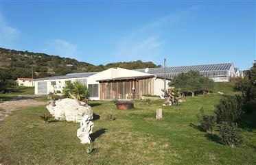 Casa di Sardegna con 5,5 ettari di terreno e lago balneare, 15 min. Dal mare