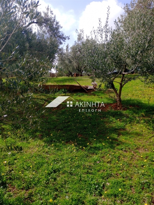 Agricultural, 2500 sq, for sale