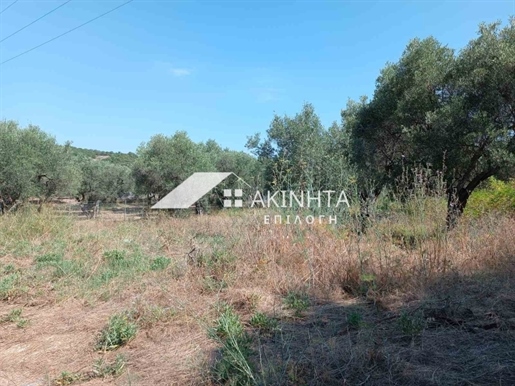 Agricultural, 4031 sq, for sale