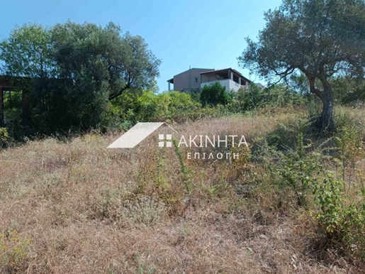 Agricultural, 4031 sq, for sale