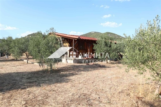 Agricultural, 4500 sq, for sale