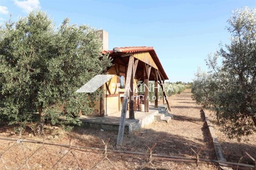 Agricultural, 4500 sq, for sale