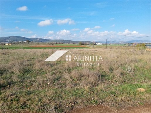Agricultural, 10000 sq, for sale