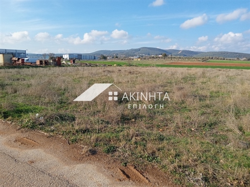 Agricultural, 10000 sq, for sale