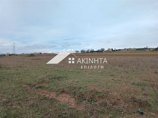 Agricultural, 500 sq, for sale