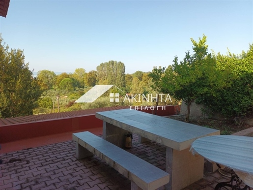 Country House, 210 sq, for sale