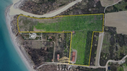 694863 - Grundstück zum Verkauf, Artemisio, 65.000 m², 2.800.000 €