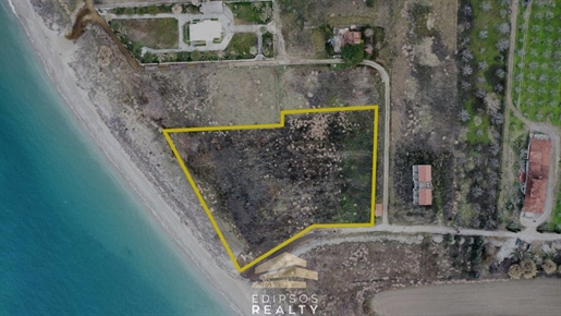 35464 - Land plot For sale, Artemisio, 8.575 sq.m., €380.000