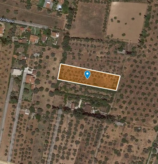 399507 - Land plot For sale, Eretria, 2.020,89 sq.m., €250.000