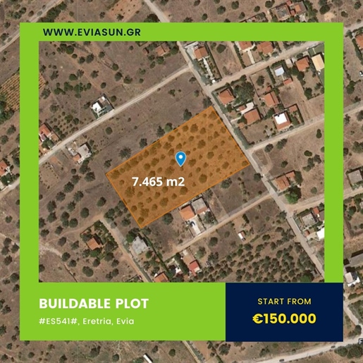 Kauf: Grundstück (34008)