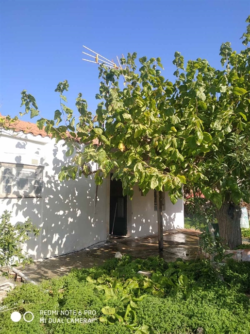 42243 - Detached house For sale, Stira, 56 sq.m., €70.000