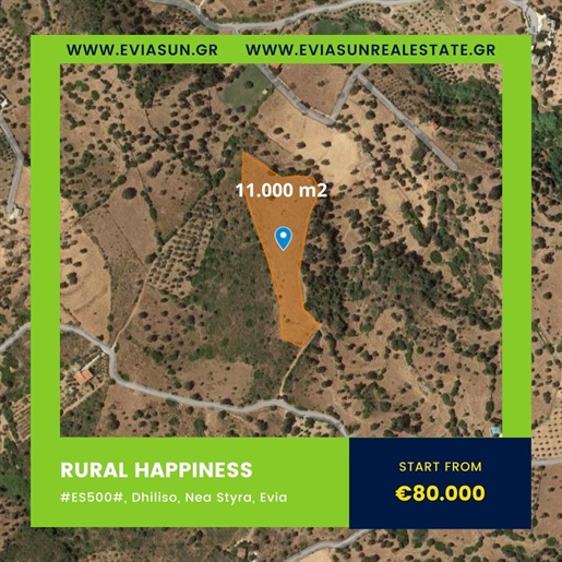 44660 - Land plot For sale, Stira, 11.000 sq.m., €80.000