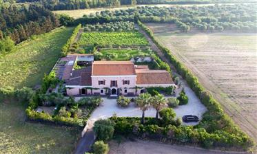 Luxury Country House Villa Donigala
