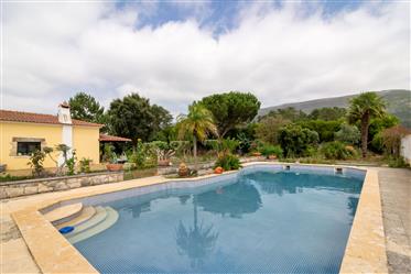 Maison T6 avec piscine et annexes sur la Côte d'Argent