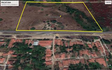 Excellent land to lease in Brazil - Profitability guaranteed