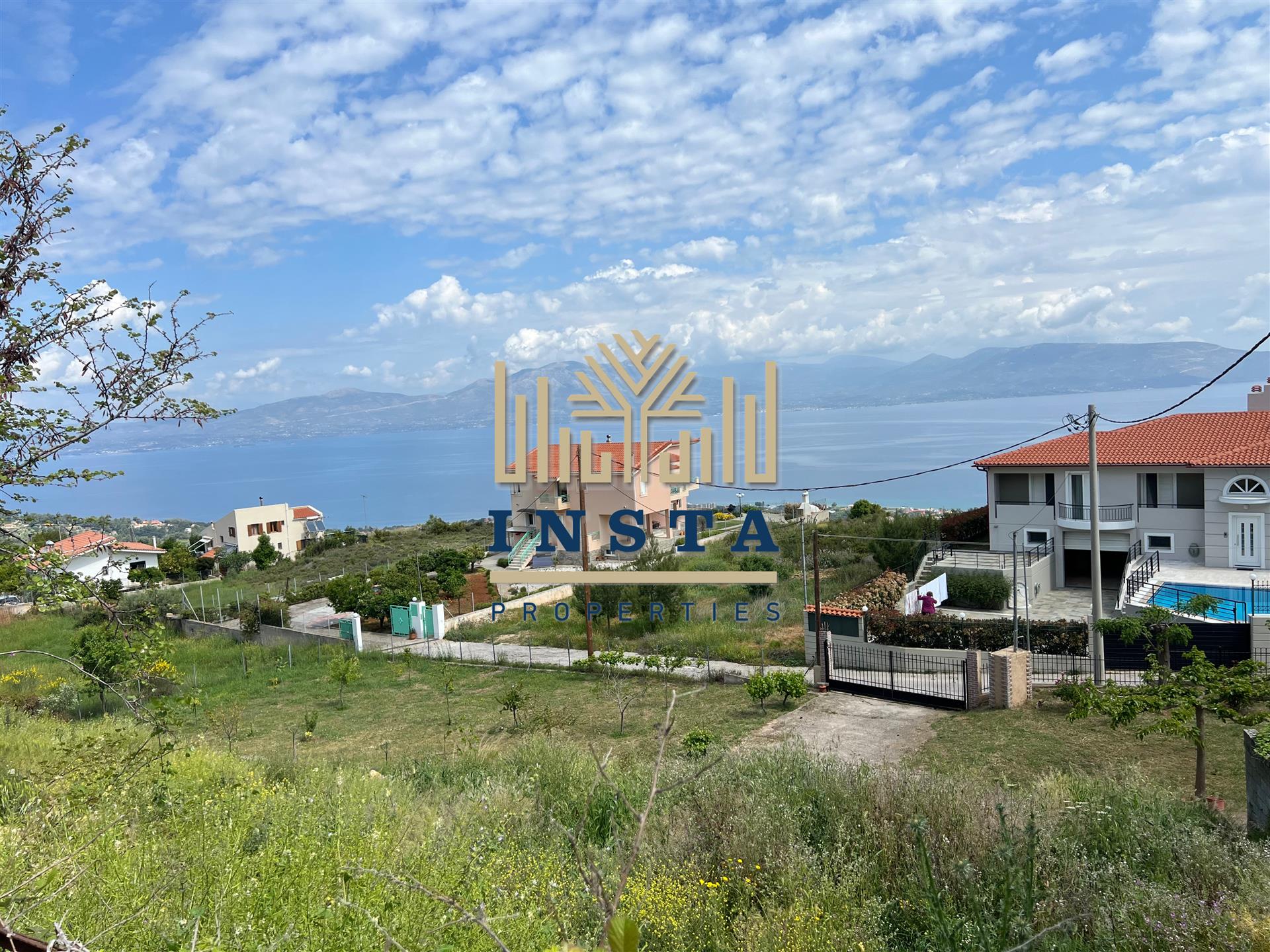 Kalamos Plot