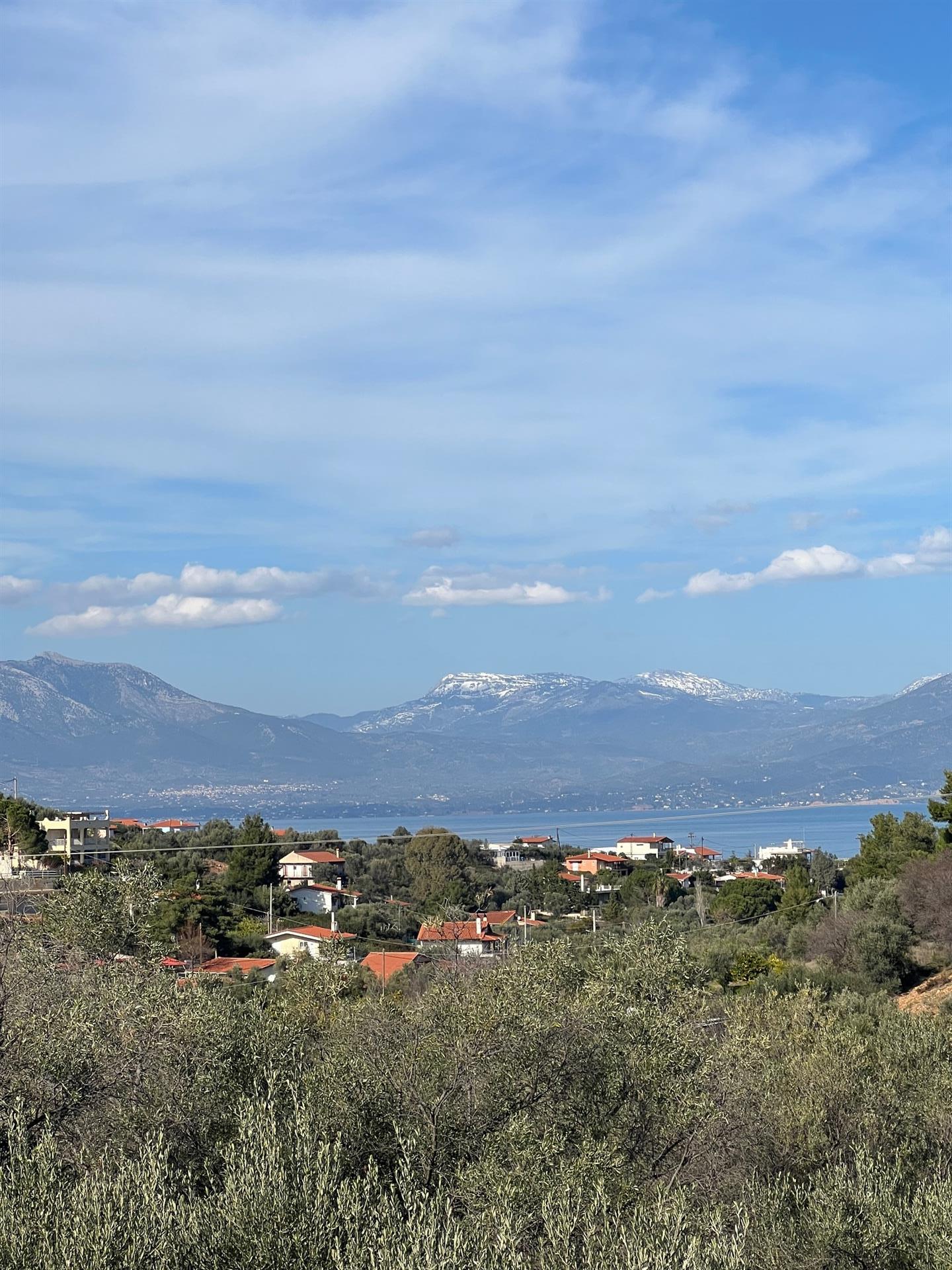 For Sale Detached House Kalamos