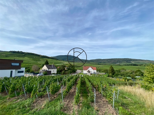 Exceptional land at the foot of Haut-koenigsbourg