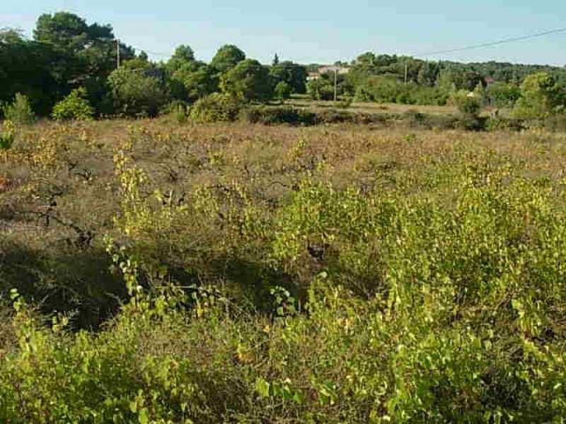 Building land