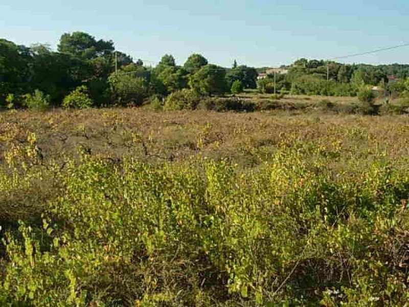 Building land