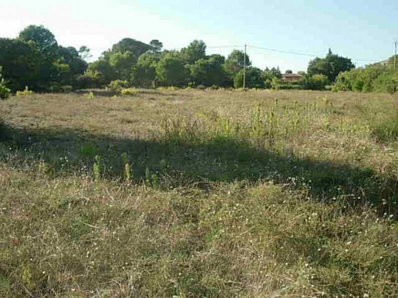 Building land