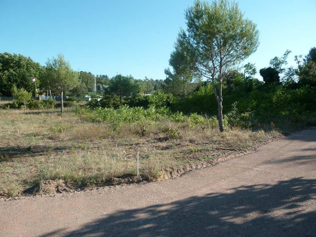 Building land