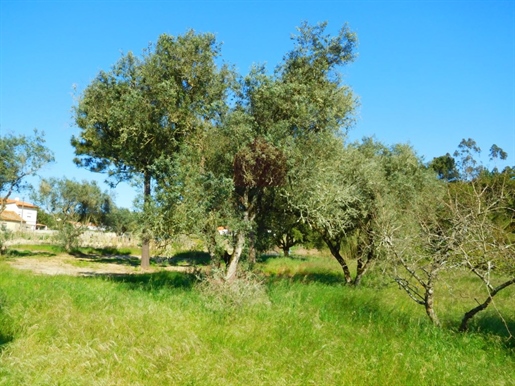 Land located near the lagoon of obidos