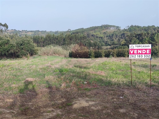Terreno situado em Salir de Matos.