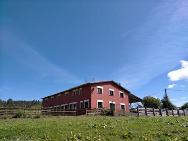 Rural estate with equestrian facilities