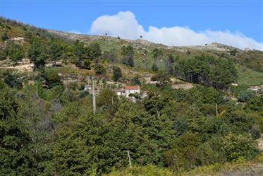 For Sale Quinta 3 Bedroom Stone Property Central Portugal