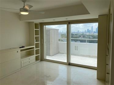Mooi en goed onderhouden penthouse/ dak, in een modern design 