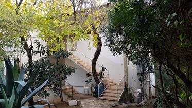 למכירה מהבעלים - דירה גדולה בבית דו משפחתי בחיפה