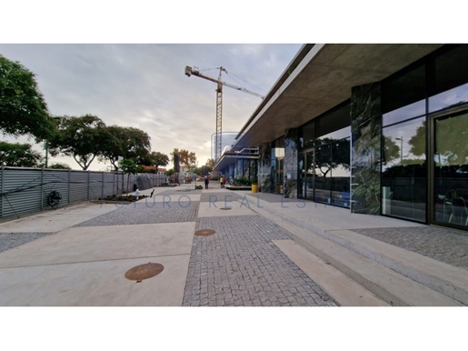 Magasin Commercial - Route Monumentale - Funchal