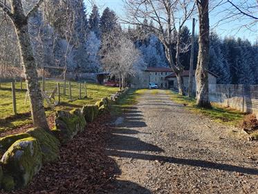 Beautiful Farm In Country Stones Without Neighbor At The Heart Of High-Forez