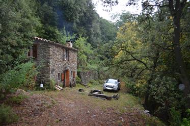 Forest house in Cevennes